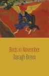 Birds in November by Daragh Breen (Shearsman Books)